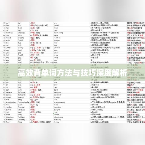 鸡飞狗跳 第2页