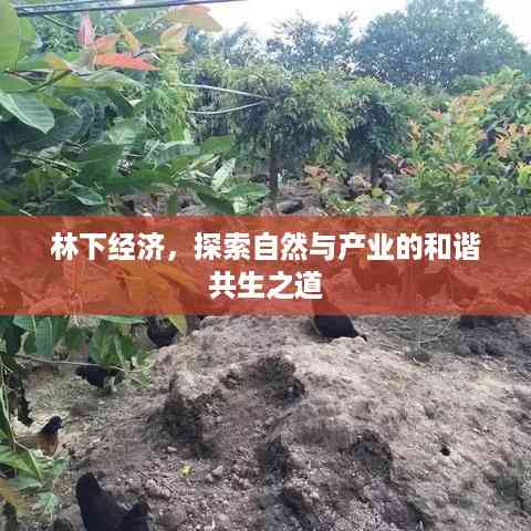 林下经济,探索自然与产业的和谐共生之道