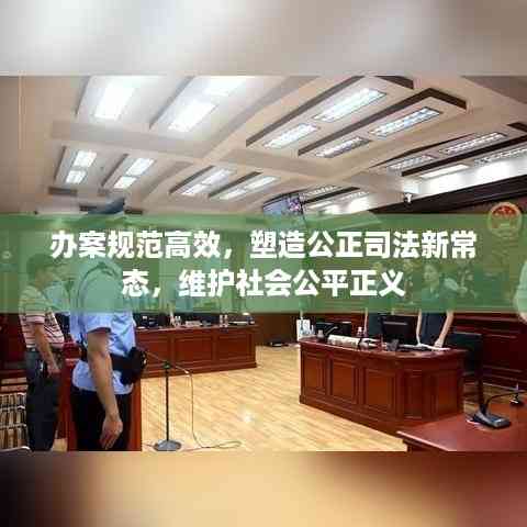 办案规范高效,塑造公正司法新常态,维护社会公平正义