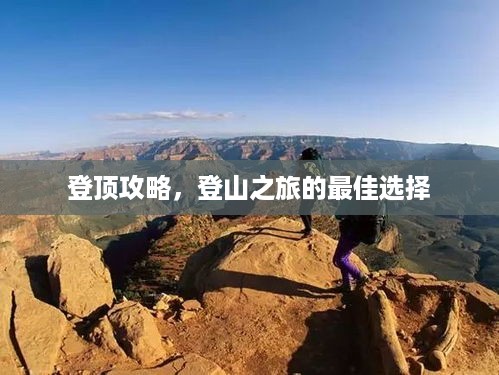 惨淡经营 第2页