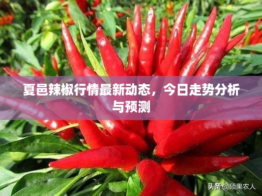喜出望外 第2页