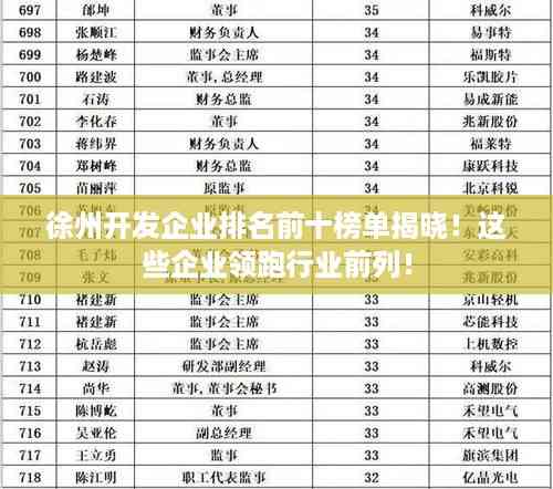 徐州开发企业排名前十榜单揭晓!这些企业领跑行业前列!