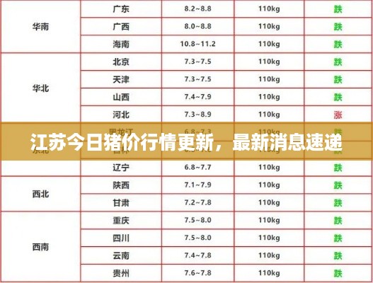 江苏今日猪价行情更新,最新消息速递
