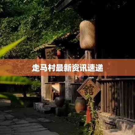 走马村最新资讯速递