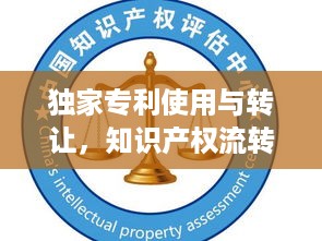 独家专利使用与转让，知识产权流转与价值最大化实现