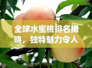全球水蜜桃排名揭晓,独特魅力令人陶醉!