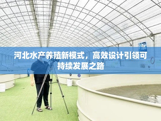 河北水产养殖新模式,高效设计引领可持续发展之路
