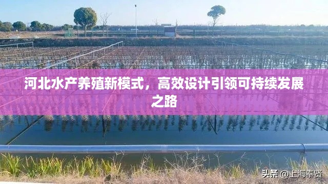 河北水产养殖新模式,高效设计引领可持续发展之路