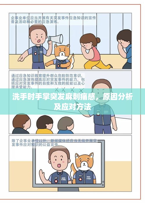 2025年5月19日 第2页