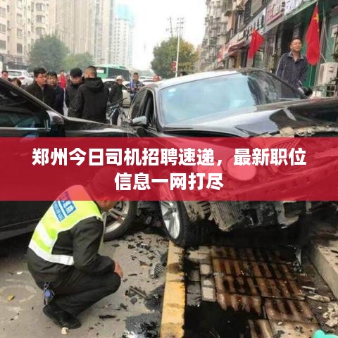 郑州今日司机招聘速递，最新职位信息一网打尽