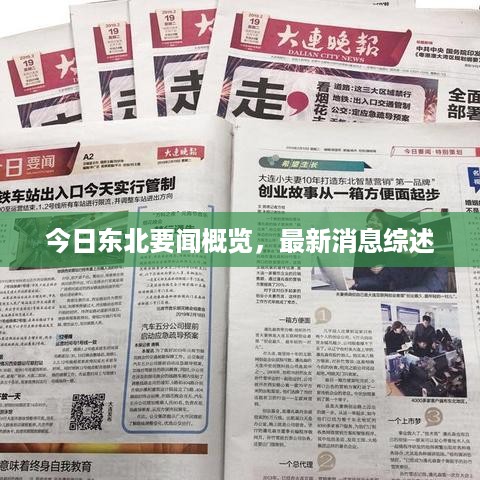 今日东北要闻概览，最新消息综述