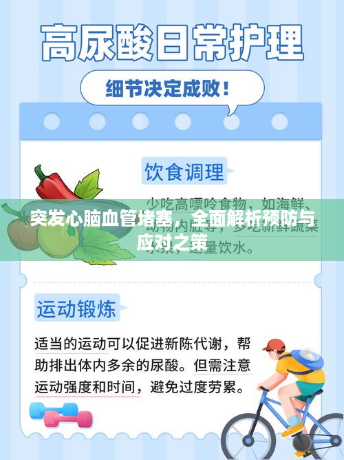 突发心脑血管堵塞，全面解析预防与应对之策