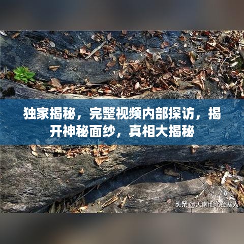 2025年5月30日