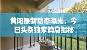 黄阳最新动态曝光,今日头条独家消息揭秘