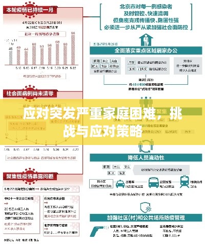 应对突发严重家庭困难,挑战与应对策略
