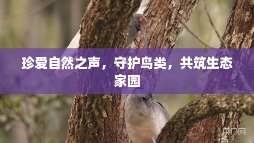 风流儒雅 第2页