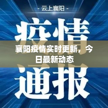 襄阳疫情实时更新,今日最新动态
