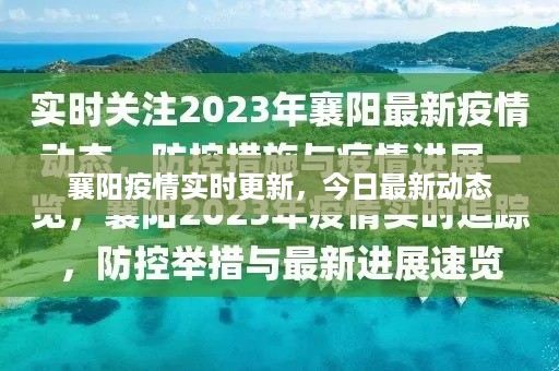 襄阳疫情实时更新,今日最新动态