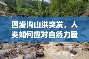 niaoshengshouxin 第2页